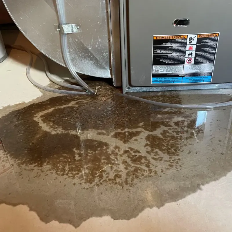 Pipe Burst and Leak Restoration in Copiah County, MS