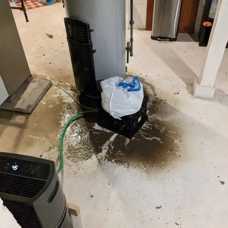 Sewage Backup Cleanup Service in Copiah County, MS